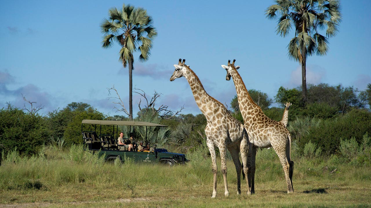 Exclusive Africa BOS 2624 Cover Image